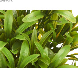 Plante décorative Ibergarden 547 Plastique 18 x 35 x 16 cm (6 Unités)