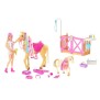 Poupée Mannequin - Barbie - HGB58 - Coffret Toilettage des Chevaux Barbie avec 1 poupée