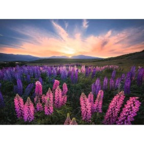 Puzzle 500 pieces Les lupins (Nature edition) - Ravensburger - Paysage et nature - Adultes et enfants des 12 ans