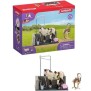 Box Lavage Chevaux avec Figurine Cheval et Cavalier - Coffret de Lavage de Chevaux de 11 Pieces avec Cheval, Cavalier et