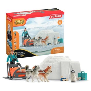 Expédition en Antarctique , Coffret schleich avec 1 figurine humaine articulée, 2 figurines de chien de traineau Huskies et 1