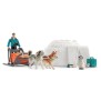 Expédition en Antarctique , Coffret schleich avec 1 figurine humaine articulée, 2 figurines de chien de traineau Huskies et 1