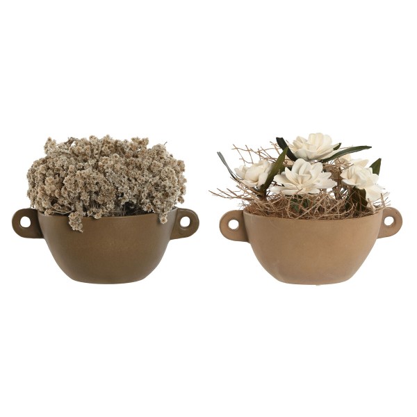 Plante décorative Home ESPRIT Fleur 22 x 22 x 14 cm (2 Unités)