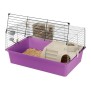 CAVIE Cage pour cochons d'inde 70 x 47 x 37,5 cm