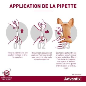 ADVANTIX Chien Solution Antiparasitaire Tres Grande Race 40 a 60kg 6 pipettes