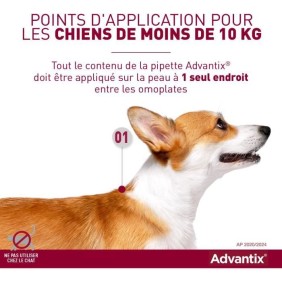 ADVANTIX Chien Solution Antiparasitaire Petite Race 4 a 10kg 4 pipettes