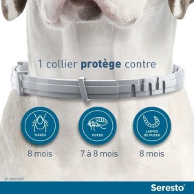 SERESTO Chien Collier Anti-Puces et Anti-Tiques -8kg 1 unitÈ