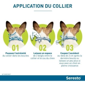 SERESTO Chien Collier Anti-Puces et Anti-Tiques -8kg 1 unitÈ