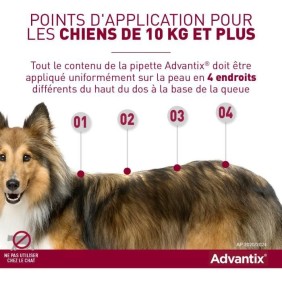 ADVANTIX Chien Solution Antiparasitaire Race Moyenne 10 a 25kg 6 pipettes