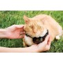 PetSafe - Collier pour chat, 4 niveaux de stimulation, lÈger, rÈglable et anti-Ètranglement, a Pile