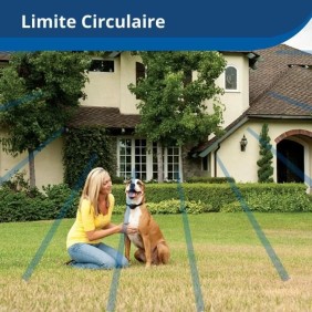 PetSafe Collier rÈcepteur sans fil pour animaux de compagnie 3,6+ kg