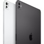 Apple - iPad Pro (2024) - 11 - WiFi + Cellulaire - 256 Go - Noir sidéral