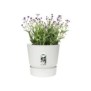 ELHO Pot de fleurs rond Greenville 25 - Extérieur - Ш 24,48 x H 23,31 cm - Blanc