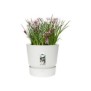 ELHO Pot de fleurs rond Greenville 25 - Extérieur - Ш 24,48 x H 23,31 cm - Blanc