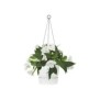 ELHO Pot de fleurs a suspendre Greenville 24 - Extérieur - Ш 23,9 x H 20,3 cm - Blanc