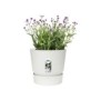 ELHO Pot de fleurs rond Greenville 40 - Extérieur - Ш 39 x H 36,8 cm - Blanc