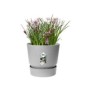 ELHO Pot de fleurs rond Greenville 25 - Extérieur - Ш 24,48 x H 23,31 cm - Gris béton vivant