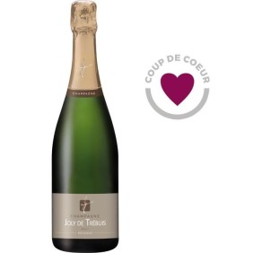 Champagne Joly de Trébuis 75 cl