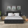 Lit adulte DAVID 140 x 190 cm - 4 tiroirs - Sommier inclus - Simili noir