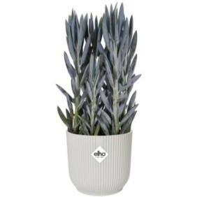 Pot De Fleurs Rond VIBES - Plastique - Ш22 - Blanc