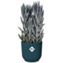 Pot De Fleurs Rond VIBES - Plastique - Ш22 - Bleu Foncé