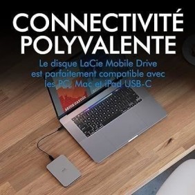 Disque dur portable externe - LACIE - Mobile Drive secure v2 - USB 3.1-C - 4To - Gris espace (STLR4000400)