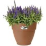 Pot De Fleurs Rond VIBIA - Plastique Réservoir - Ш40 - Terre cuite