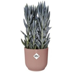 Pot De Fleurs Rond VIBES - Plastique - Ш25 - Rose poudré