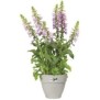 Pot De Fleurs Rond VIBIA - Plastique Réservoir - Ш40 - Blanc