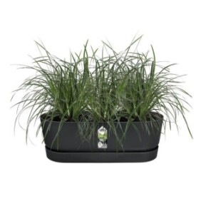 ELHO - Pot de fleurs  -  Greenville Easy Balcony 52 - Living Noir - Balcon - L 21.2 x W 52 x H 19.4 cm