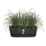 ELHO - Pot de fleurs  -  Greenville Easy Balcony 52 - Living Noir - Balcon - L 21.2 x W 52 x H 19.4 cm