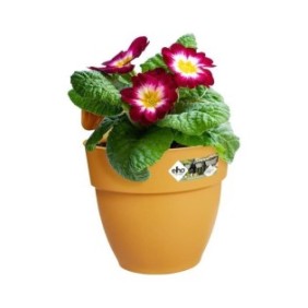 ELHO - Pot de fleurs -  Vibia Campana Easy Hanger Small - Jaune Miel - Balcon extérieur - L 24.1 x W 20.5 x H 26.5 cm