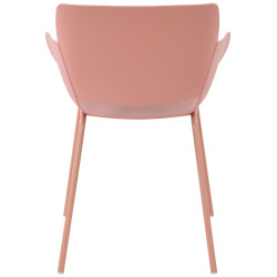 Lot de 2 chaises Alpena, roses