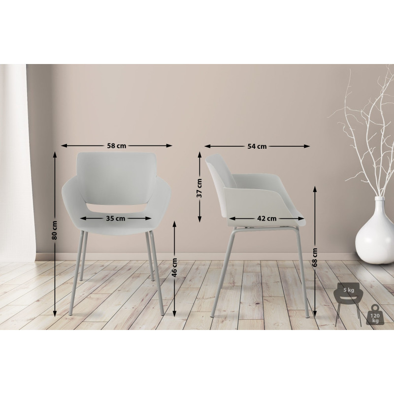 Ensemble de 2 chaises Alpena, gris clair