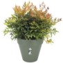 Pot De Fleurs Rond LOFT URBAN - Plastique - Percé - Réservoir - Avec roulettes - Ш40 - Vert