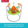 Trotteur - Fisher-Price - Jumperoo Jungle Sons et Lumieres - Evolutif - Effets sonores - Vert