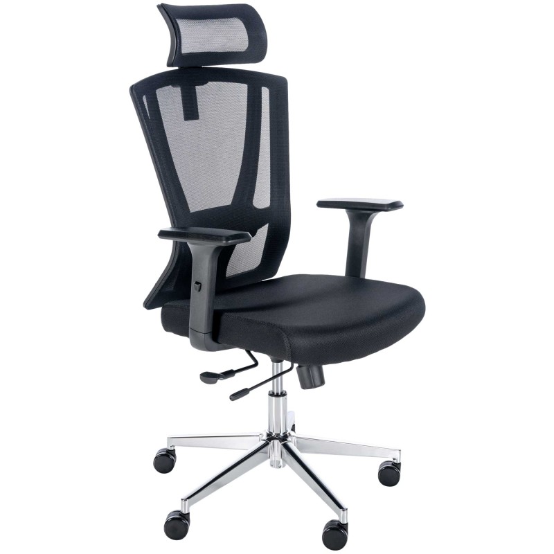 Chaise de bureau Scott Ergonomic