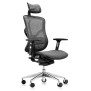 Chaise de bureau Aviles Ergonomic