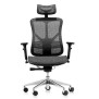 Chaise de bureau Aviles Ergonomic