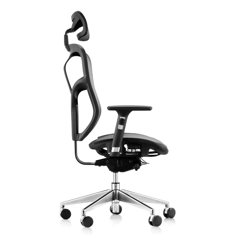 Chaise de bureau Aviles Ergonomic