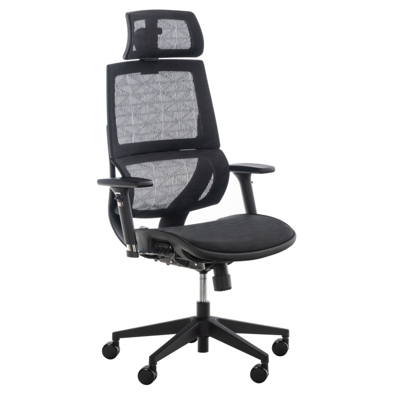 Chaise de bureau Hinwil Ergonomic