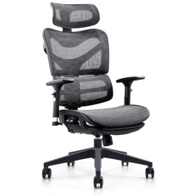 Chaise de bureau Renens Ergonomic