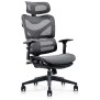 Chaise de bureau Renens Ergonomic