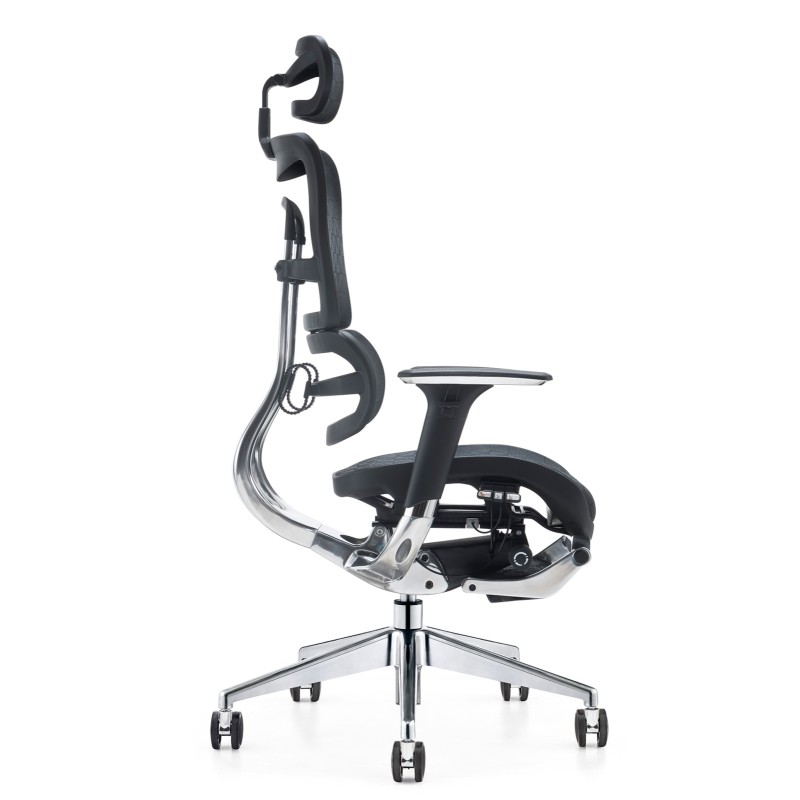 Chaise de bureau Vernier Ergonomic