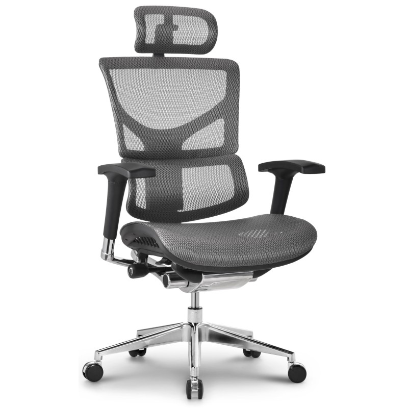 Chaise de bureau Spokane Ergonomic