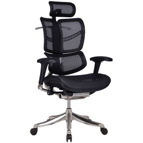 Chaise de bureau Norfolk Ergonomic