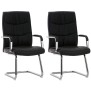 Lot de 2 chaises Caro