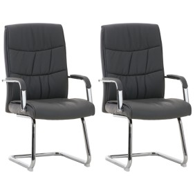 Lot de 2 chaises Caro