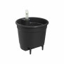 Pot auto-arrosant Elho Insert 28 Noir Plastique 27,7 x 27,7 x 25,5 cm