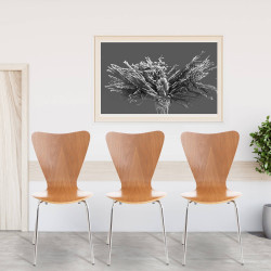 Chaise de salle à manger Calisto en chêne